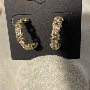 Elegant Gold and Silver Hoop Earrings